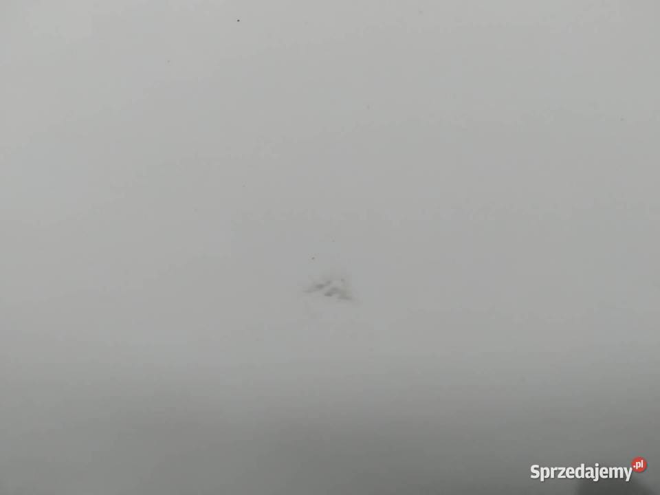 DRZWI LEWE TYŁ 3M Hyundai ix55 I 20062011