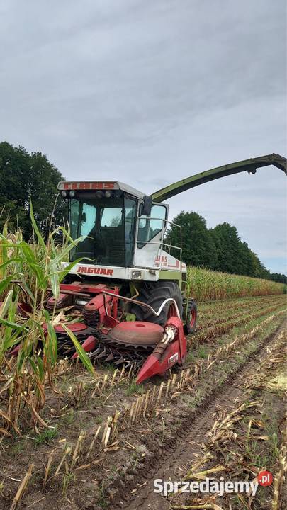 Sieczkarnia do kukurydzy claas jaguar 695 mega mazowieckie Ocięte sprzedam