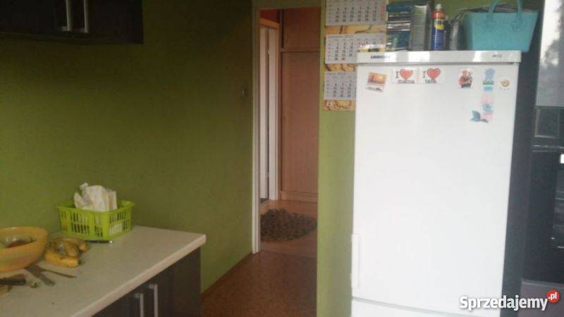 Odstapie mieszkanie TBS Wrocław Lesnica Rok budowy 2006 Mieszkania Wrocław