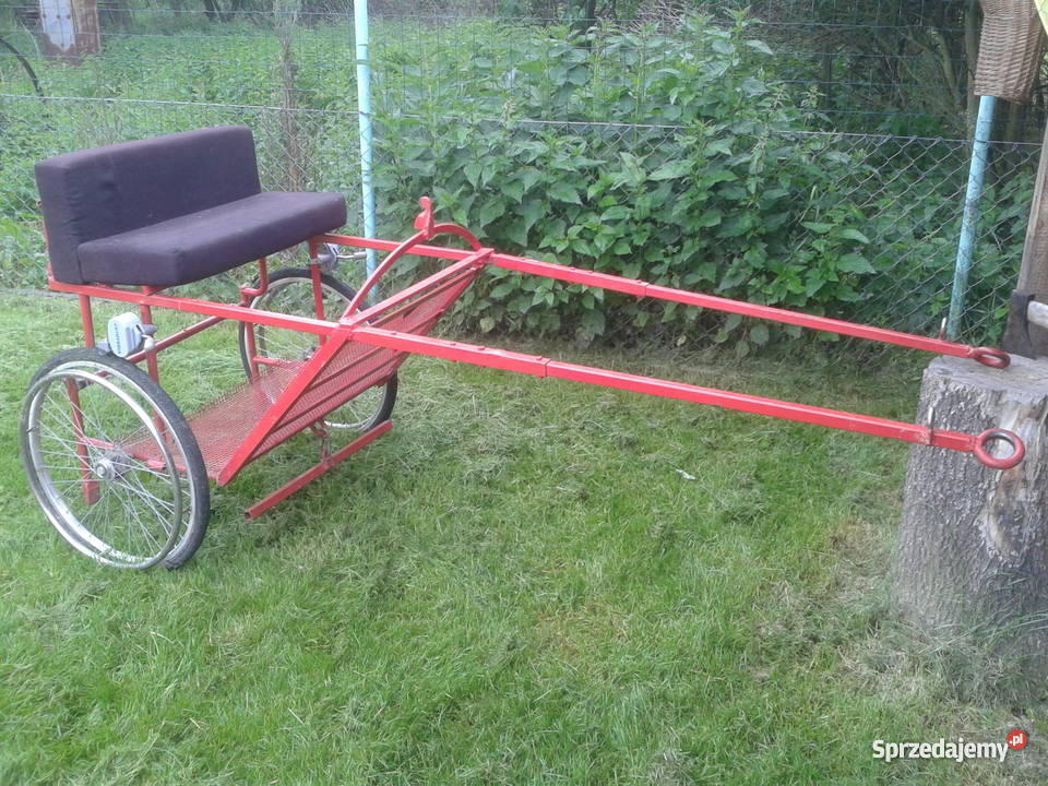 Dokart dwukołówka rydwan kuca Krotoszyce
