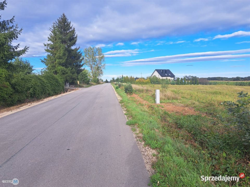 Ogłoszenie działka Pierzchnica 6600m2