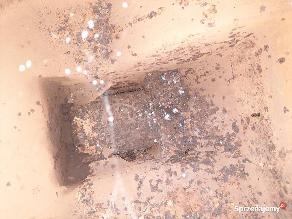 Sprzedam silnik es Aleksandrów Łódzki sprzedam