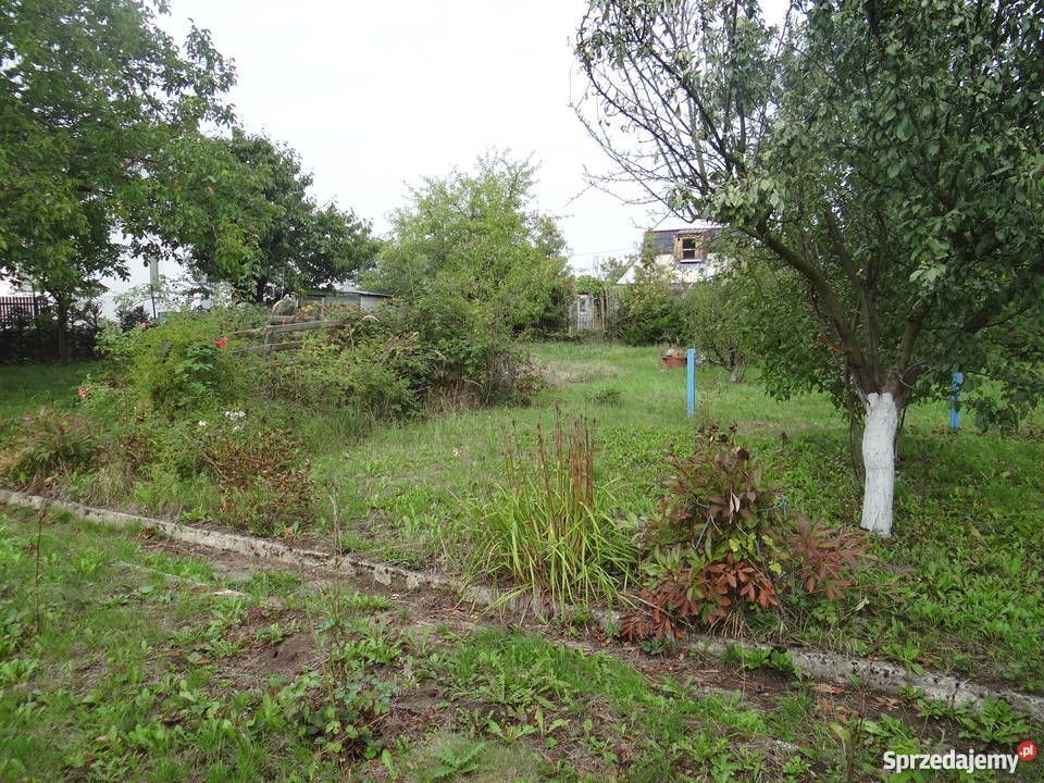 Ogródek działkowy 600m2 Kasprzaka OKAZJA lubuskie Gorzów Wielkopolski