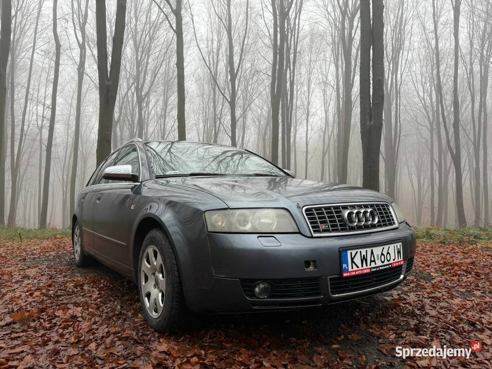 Audi A4 B6 Quattro Avant 19TDI Zator