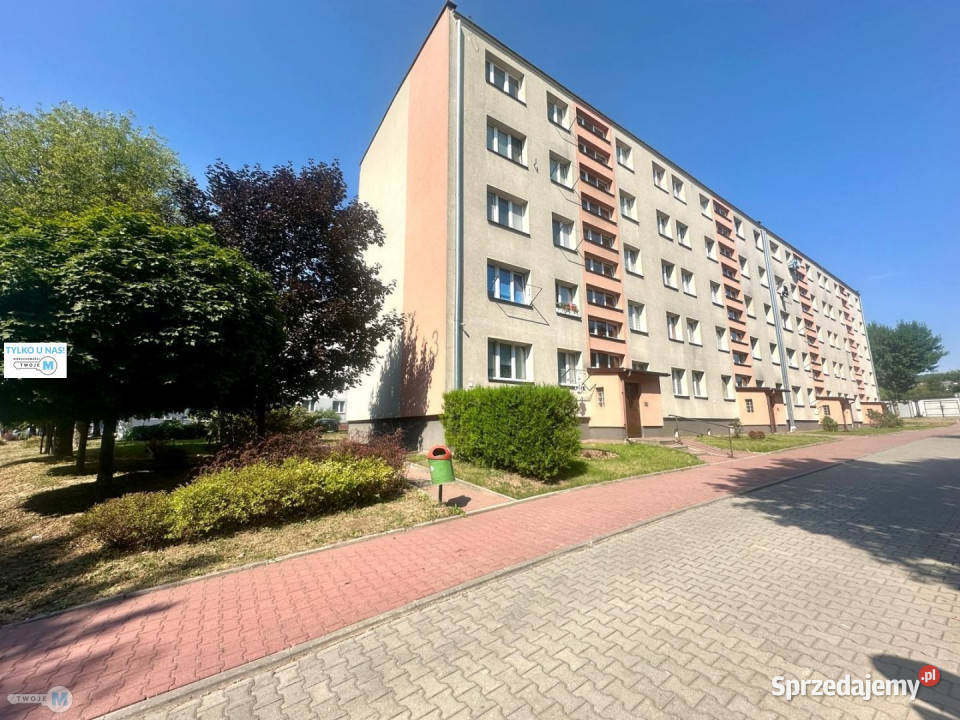 Mieszkanie sprzedam Sitkówka 462m Sprzedaż