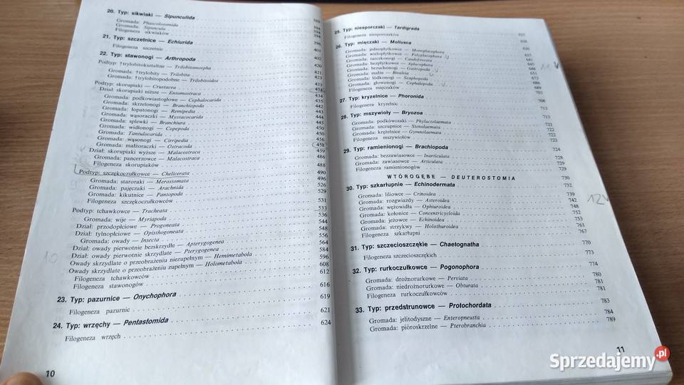 Bezkręgowce podstawy morfologii funkcjonalnej