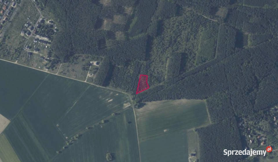 Działka 13427 w Kobylance