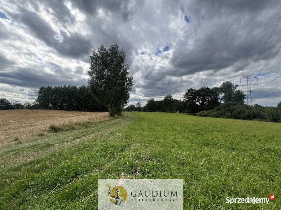 DZIAŁKI KASZUBY 1000 m2 GMINA SZEMUD utwardzona Jeleńska Huta