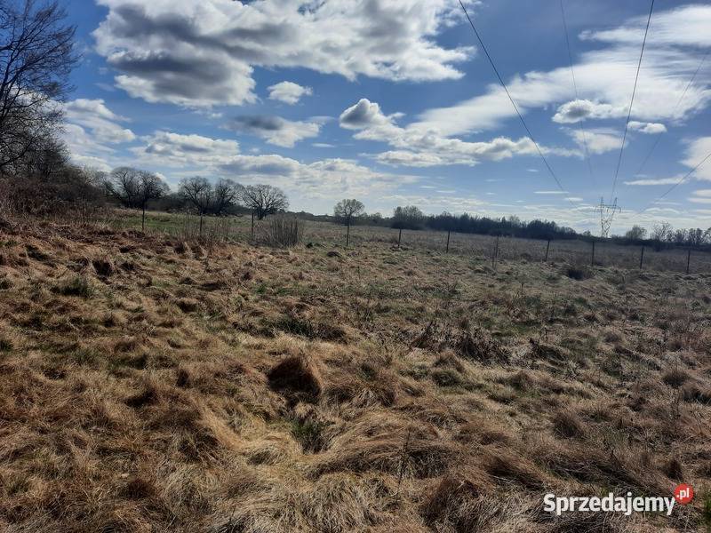 Syndyk sprzeda nieruchomość gruntową w Dęblinie Dęblin sprzedam