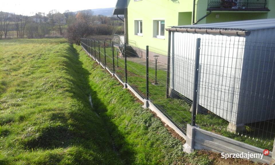 Panel ogrodzeniowy 123x250 fi4mm