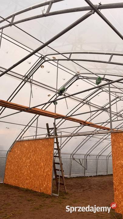 szklarnia Białystok