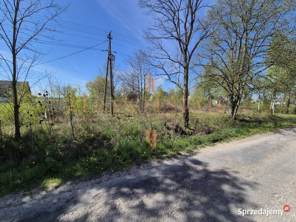 Działka położona wśród lasów nieopodal zalewu asfalt łódzkie Trzepnica