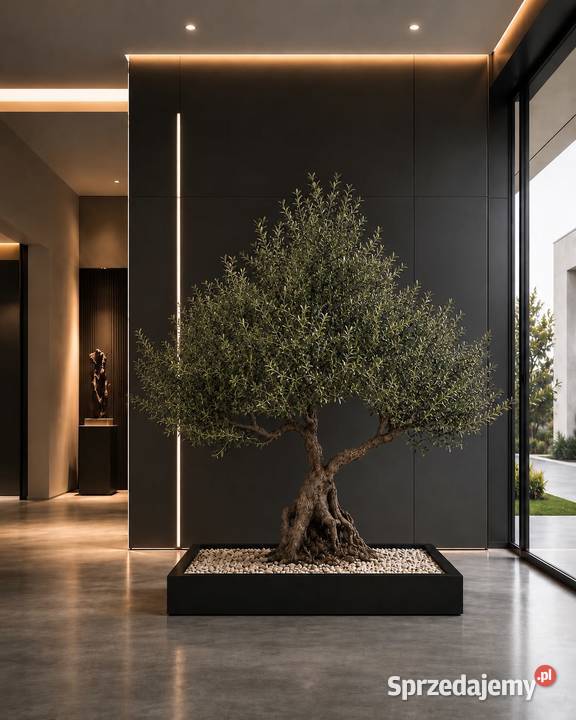 Donica do bonsai prostokątna 100x70x10 stalowa małopolskie Golkowice