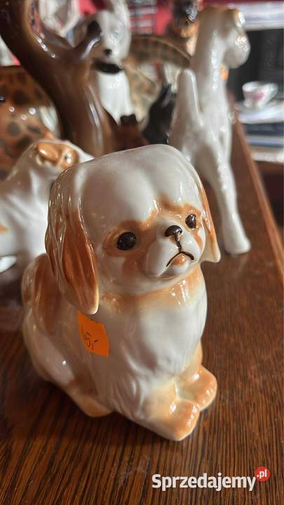 Pekińczyk Figurka psa Łomonosow Porcelana i szkło Gdańsk