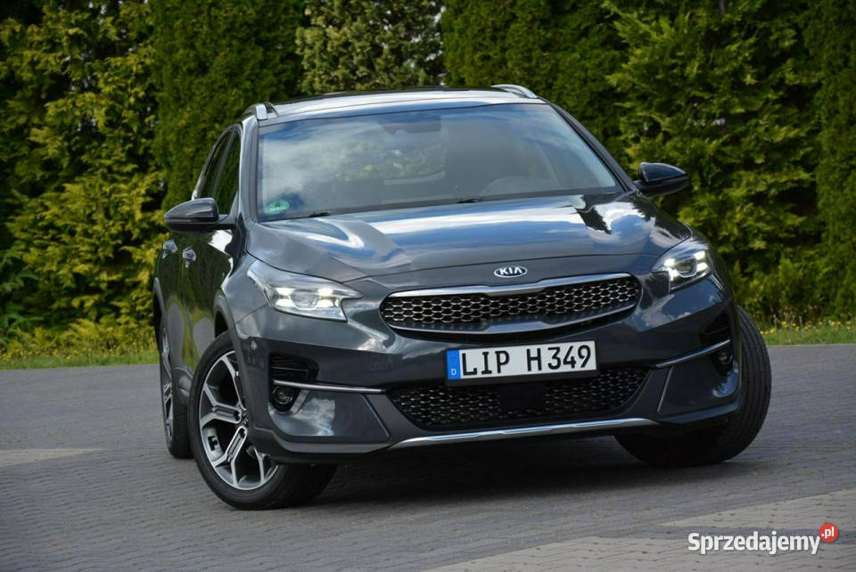 Kia XCeed Launch Full Led Panorama RadarACC JBL aluminiowe felgi Ostrów Mazowiecka