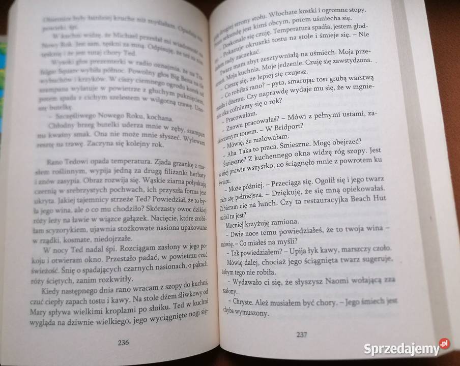 Zanim zniknęła Jane Shemilt thriller Łódź