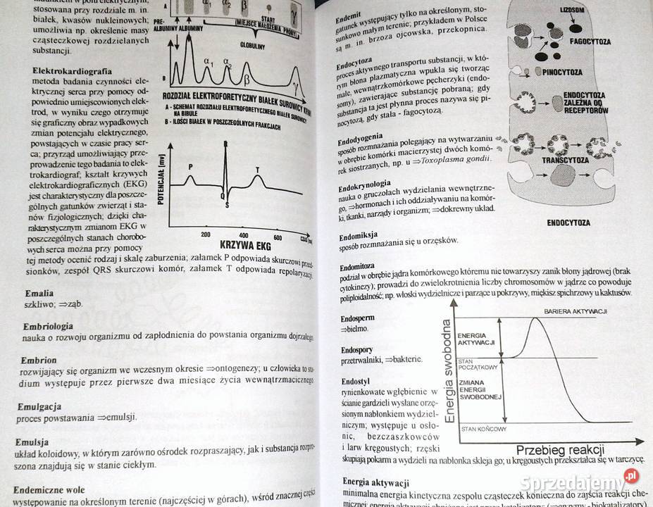 Ilustrowany słownik biologiczny E J Gorzelańczyk Chełm