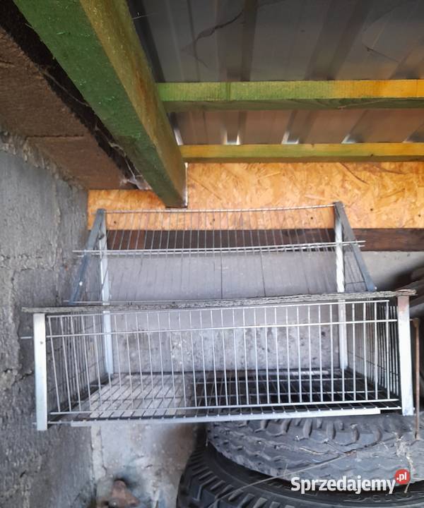 Wylot gołębi gołębnika belgijski Lubanie