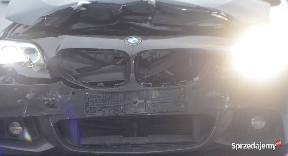 BMW 530 2016 Blue Performance 300KM Szczecin