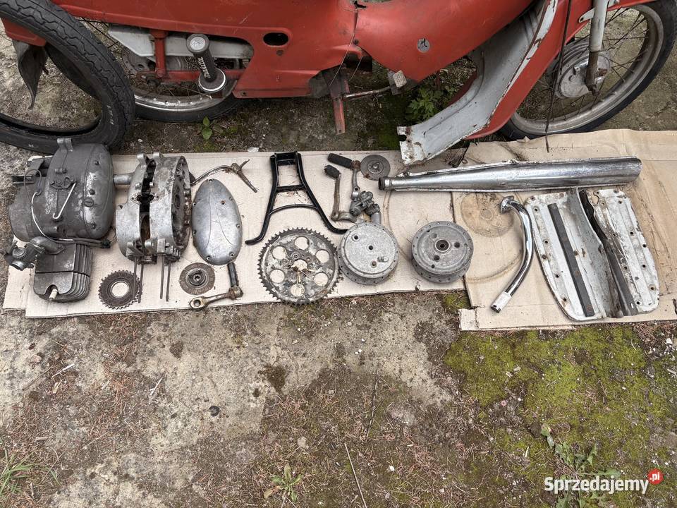 JAWKA P20 Pancerka mazowieckie
