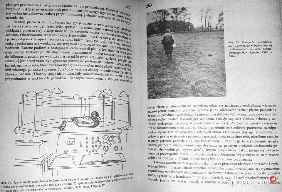 Psychologia Tadeusz Tomaszewski Chełm