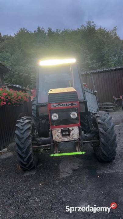Ursus 1004