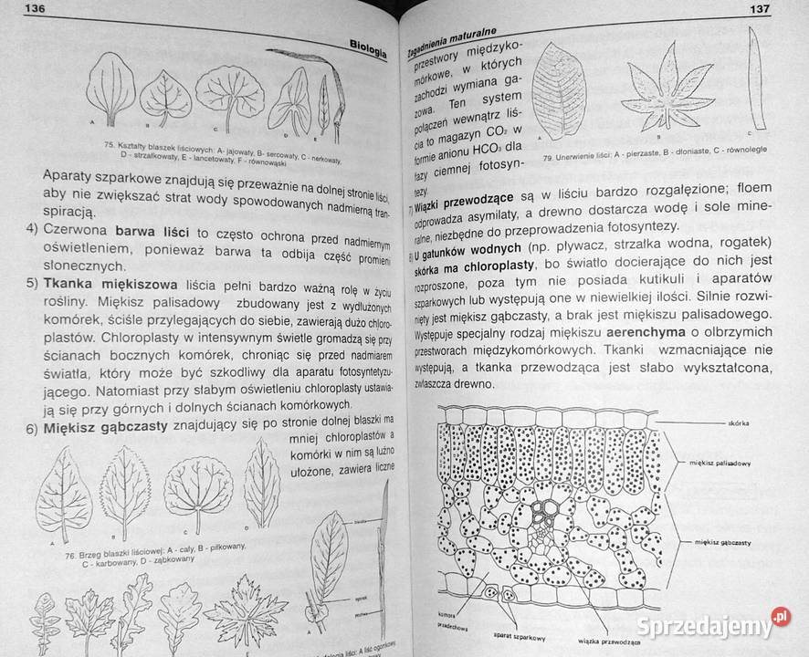 Matura z biologii Agnieszka Cerańska Chełm sprzedam