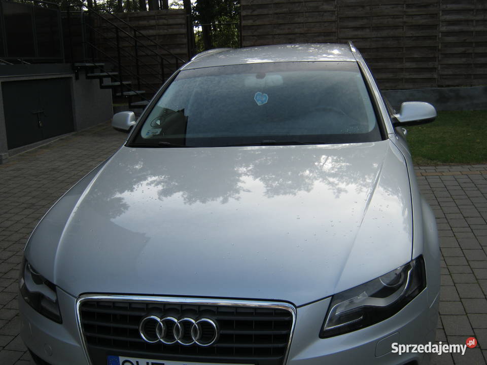 Audi a4 b8 Luzino