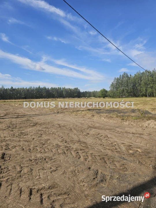 Działka 1000m2 Rozworzyn gaz