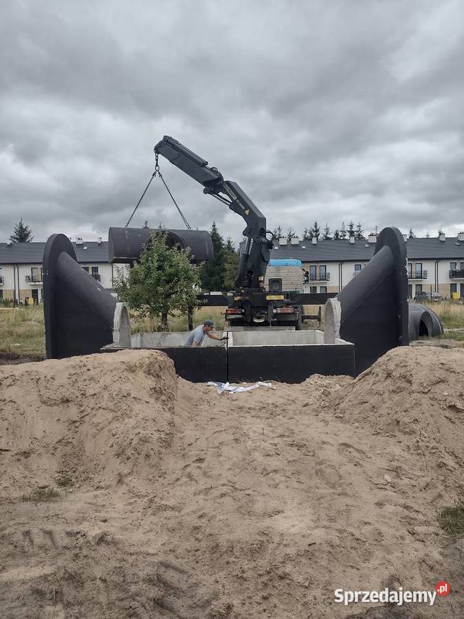 Piwniczka ogrodowa Pozostałe Czarna Białostocka