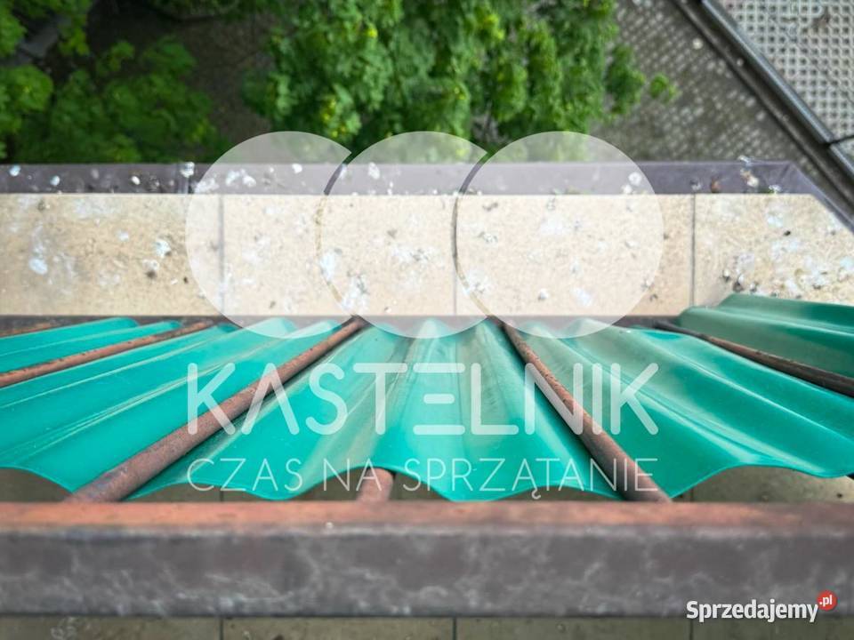 Sprzątanie gołębiach Zgorzelec Kastelnik mycie
