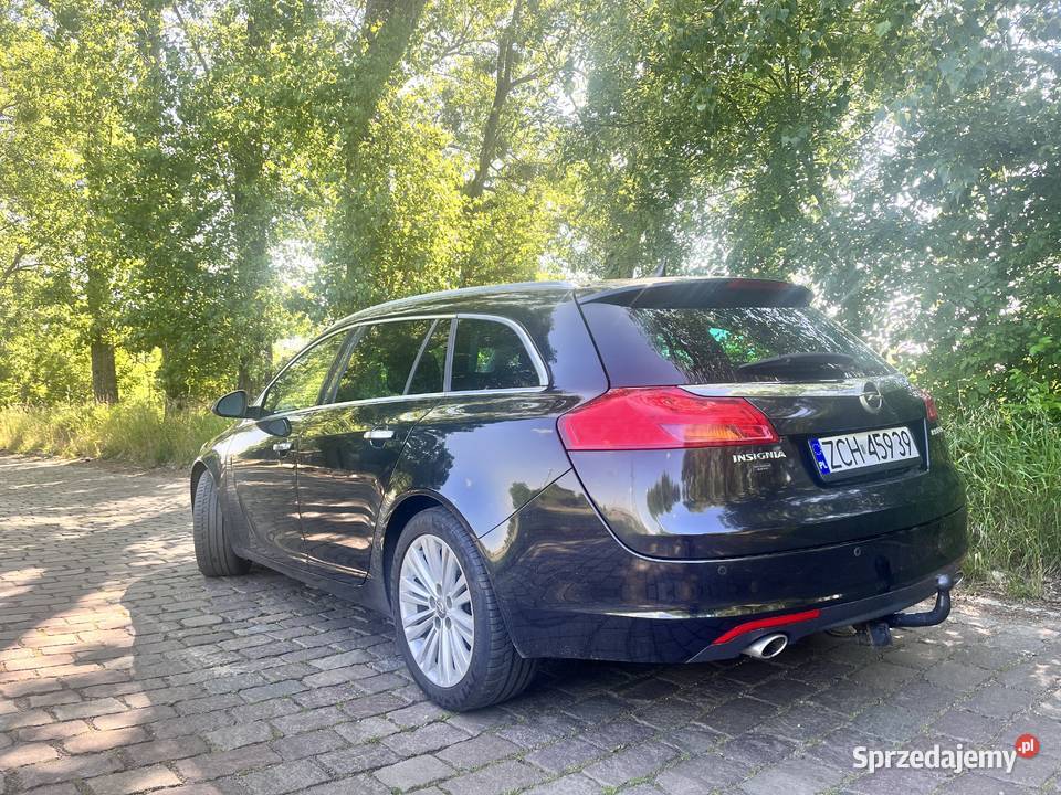 Sprzedam Insignie sprowadzony Choszczno sprzedam