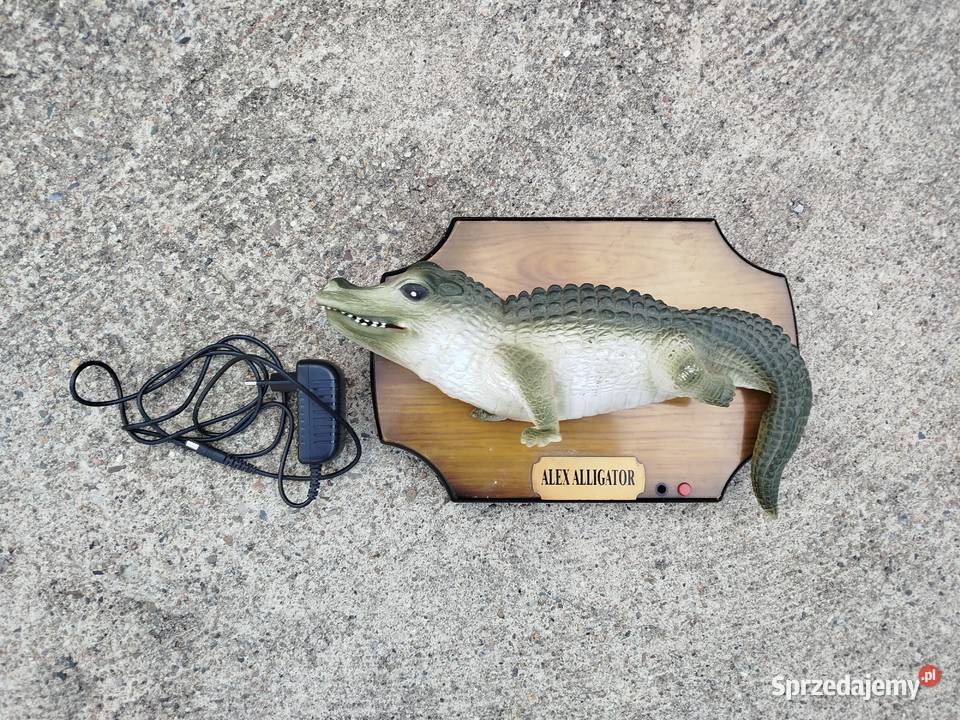 Interaktywny aligator Alex Alligator figurka Opole