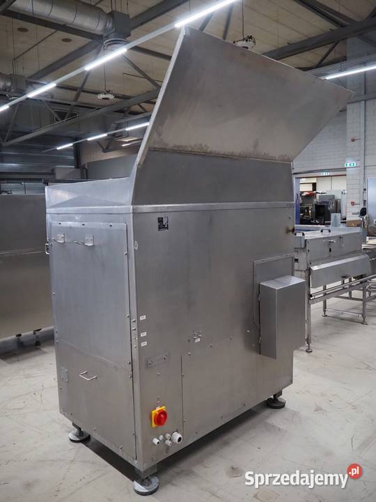 Krmer Grebe SCWW Wilk masarski Krotoszyn