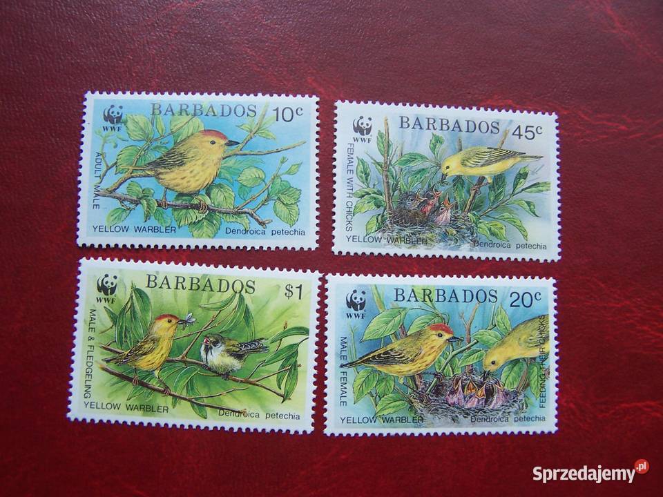 Barbados 1991 MNH Mi 77073 Fauna Ptaki WWF Tychy