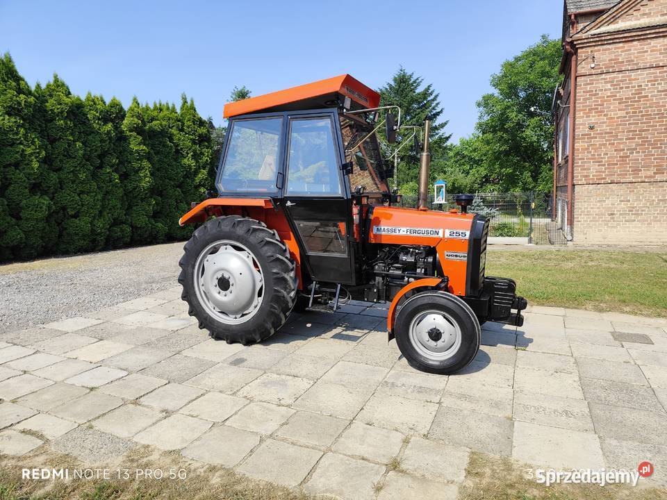 MF 255 Markowa