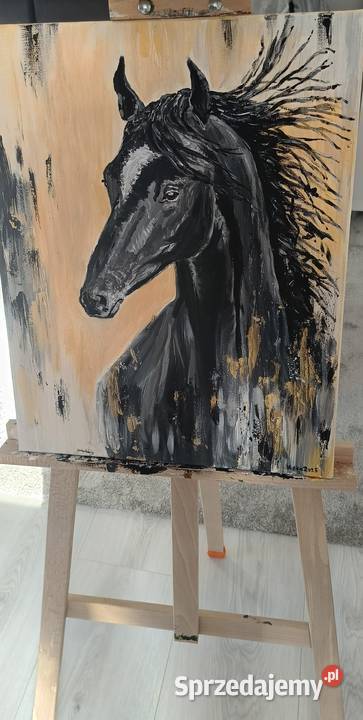 Obraz akrylowy dolnośląskie Wałbrzych