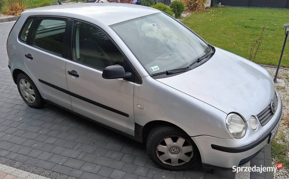 Volkswagen Polo 9N 2004 r 12 Benzyna LPG Srebrny