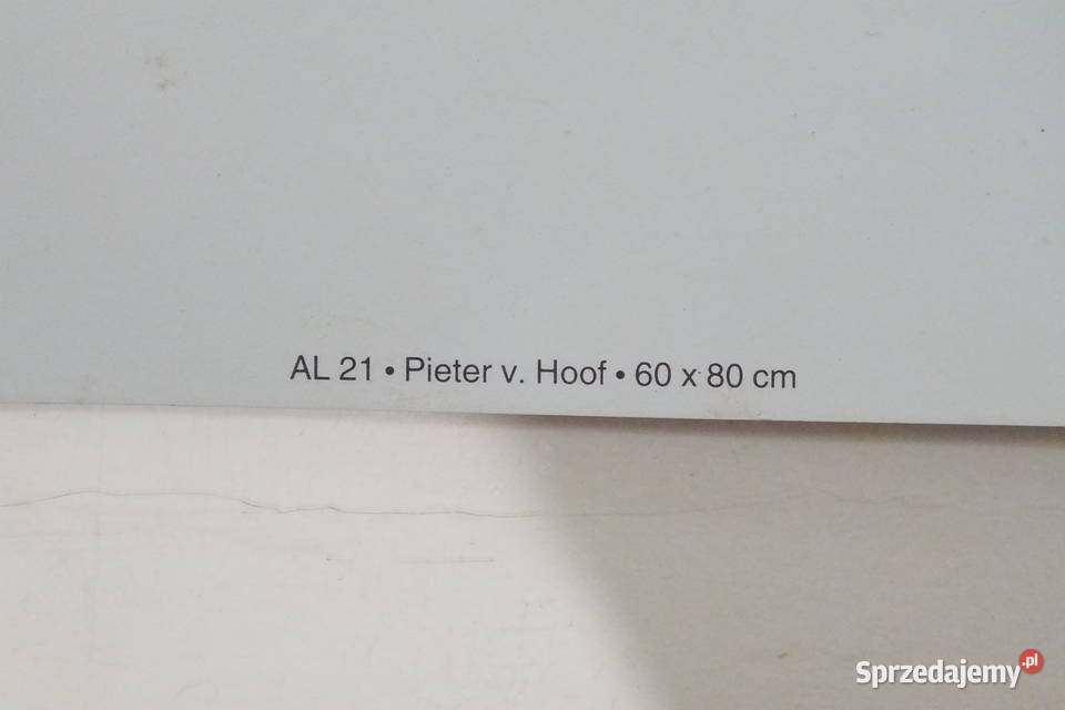 Pieter V Hoof Pejzaż Lubin sprzedam