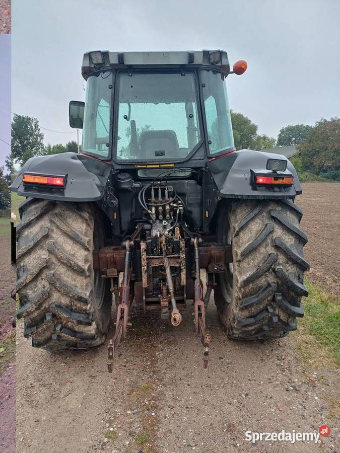 Massey ferguson 6290 Płonne-Plebanka sprzedam