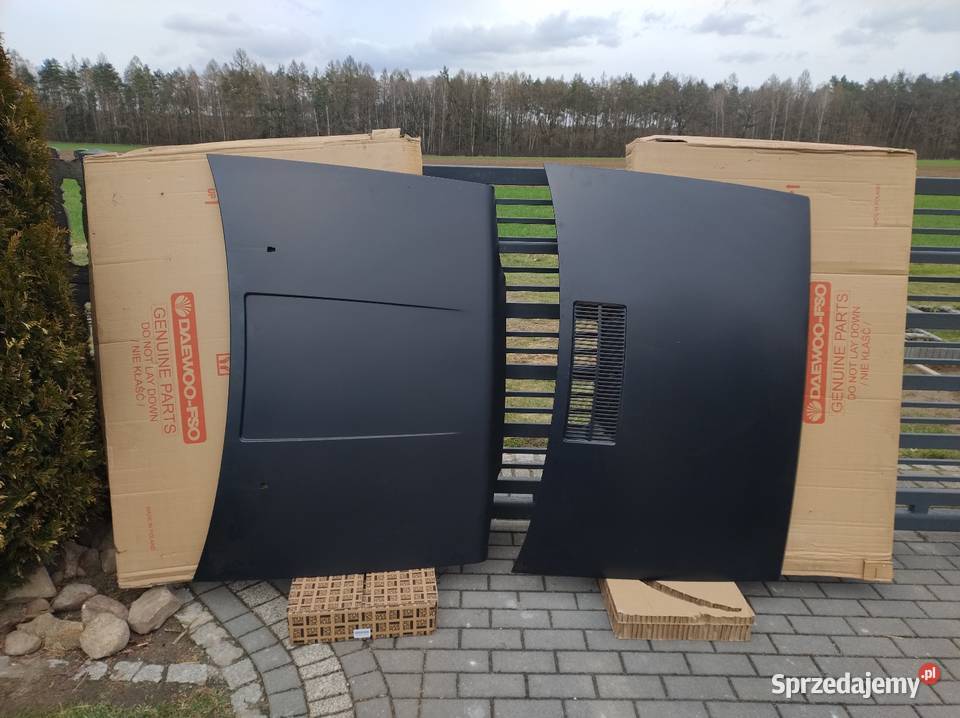 Polonez borewicz akwarium caro NOWA IDEALNA opolskie Olesno