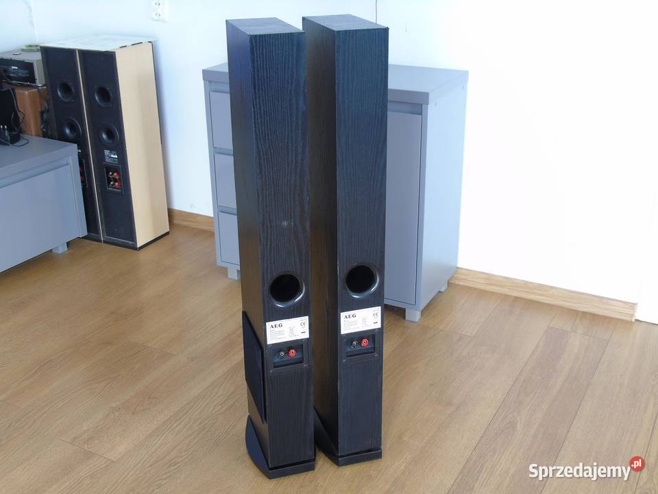 Mocne i ładne kolumny AEG 2x 480 wat DOSTAWA podkarpackie