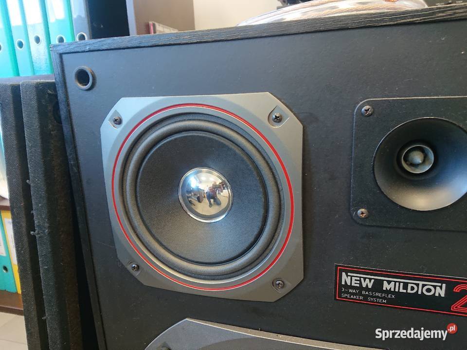 Kolumny Tonsil Mildton 200 Tychy sprzedam