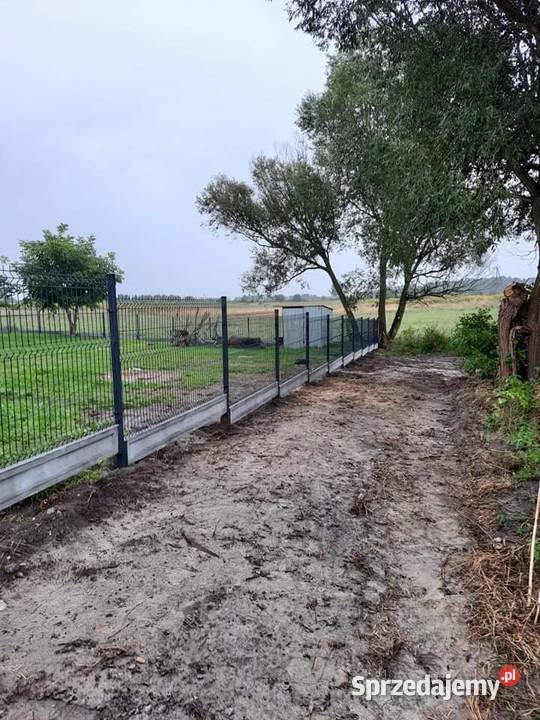 Panele Ogrodzeniowe Ocynk Ogniowy Ral 3D2D Bramy Rogozino