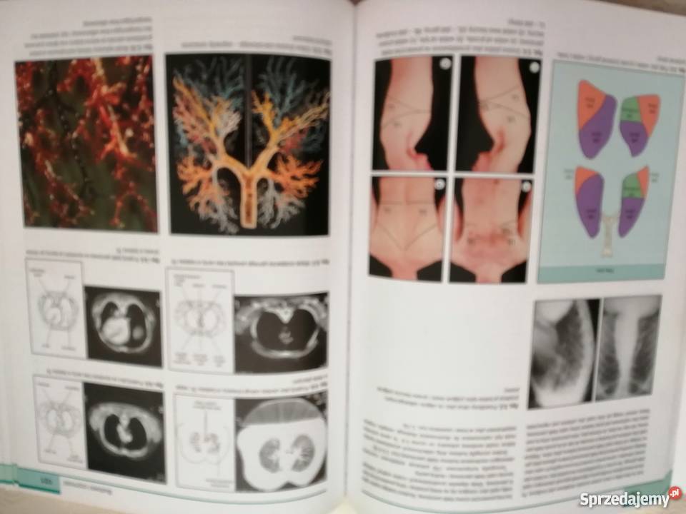 Badania kliniczne Epstein Perkin de Bono Cookson Książki naukowe i popularnonaukowe