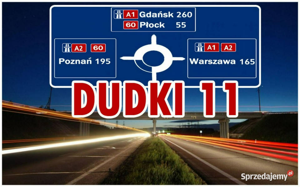 Ford Focus 18Benz XRoad ASR (kontrola trakcji) Kutno