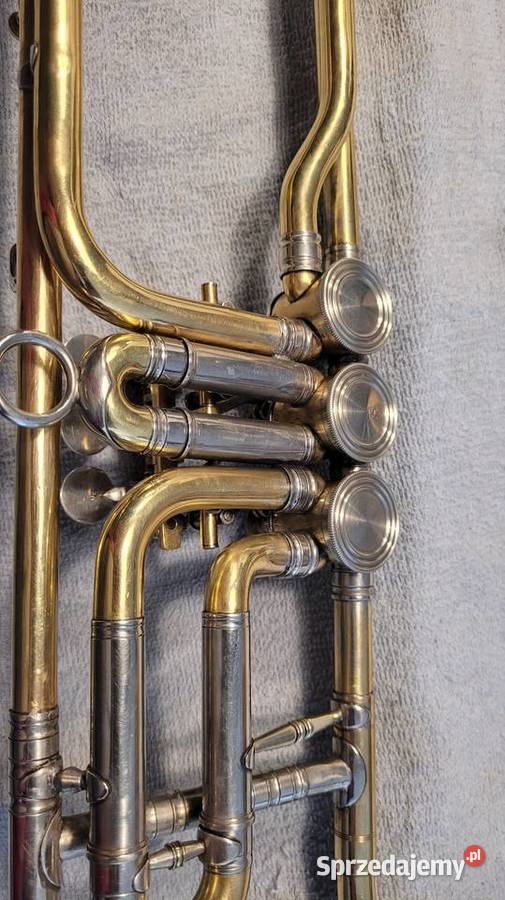 Puzon 3 klapowy in B Miraphone