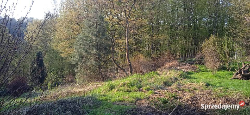 Domek letniskowy ogrzewany wynajem Czułów