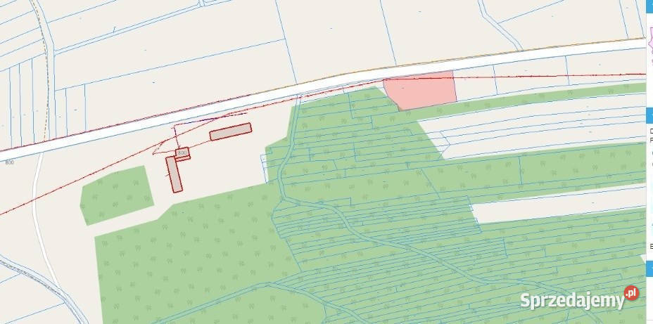 Grodzisko Dolne Działka pod lasem 4720 ar z WZ 4720m2