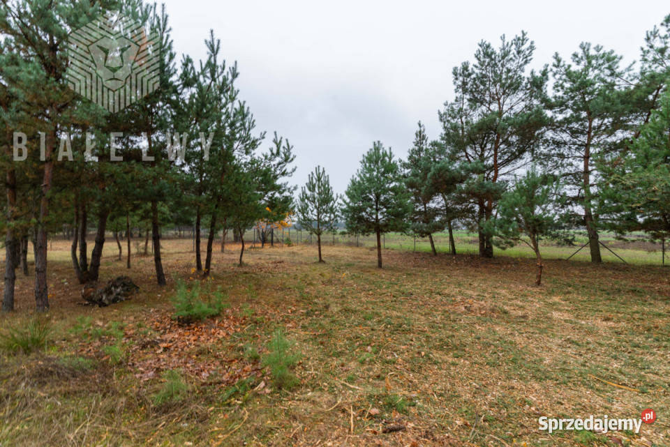 Grunt 934m2 Jachranka 22m